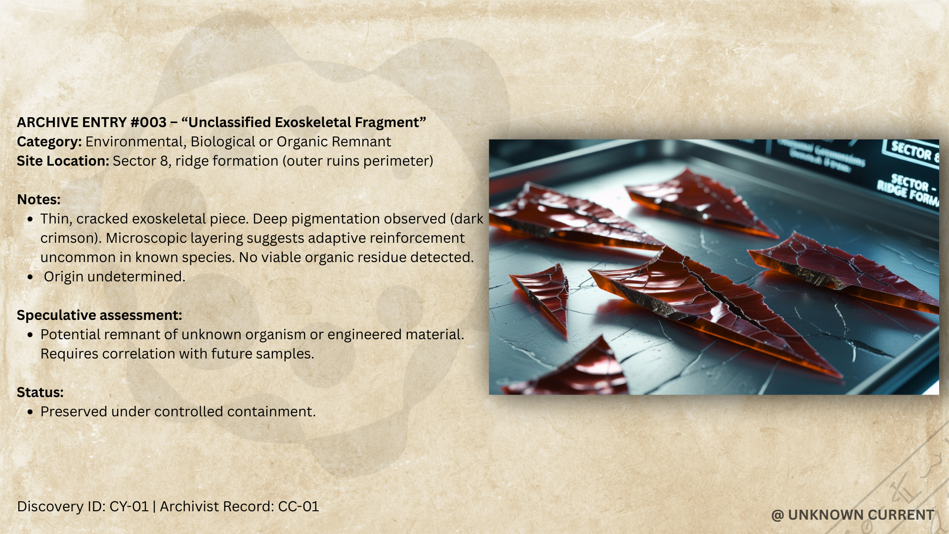 Archive 003 - “Unclassified Exoskeletal Fragment” - (S1)